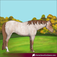 Horse Color:Blue Roan Pearl 