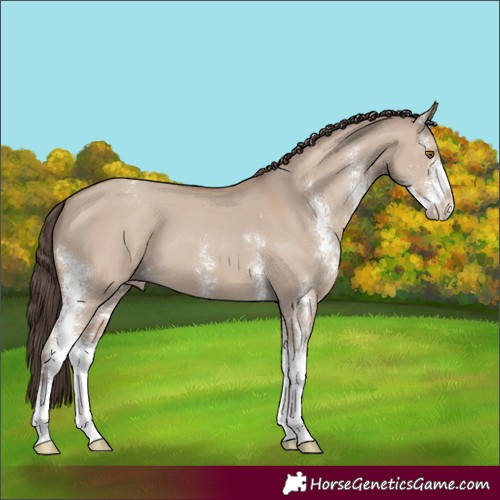 Horse Color:Classic Champagne Dun Sabino 