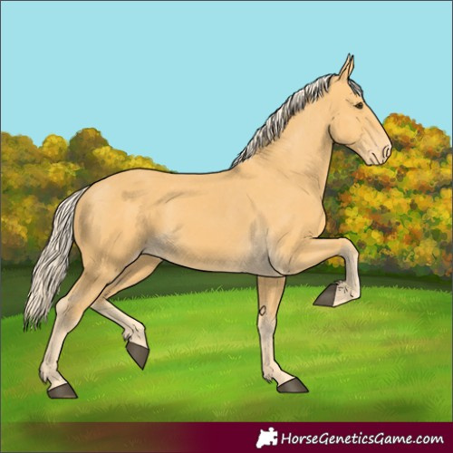 Horse Color:Unknown 
