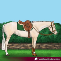 Horse Color:Silver Buckskin Pearl 