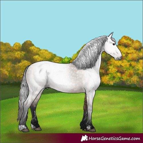 Horse Color:Gray Bay Dun 