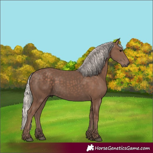Horse Color:Silver Black 