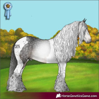 Horse Color:Gray Bay Tobiano 