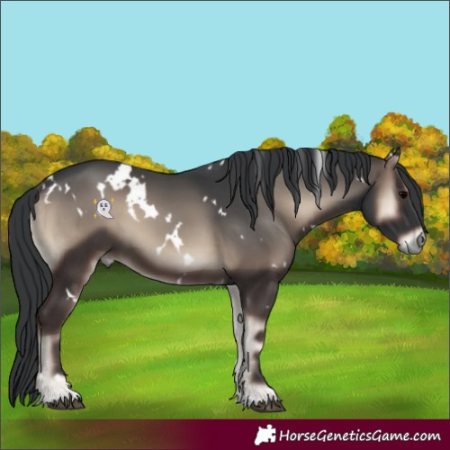 Horse Color:White Spotted Blue Onyx 