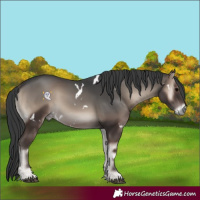 Horse Color:White Spotted Blue Onyx 