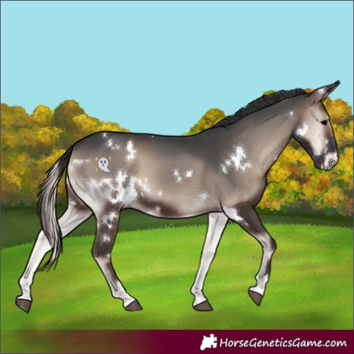 Horse Color:White Spotted Blue Onyx 