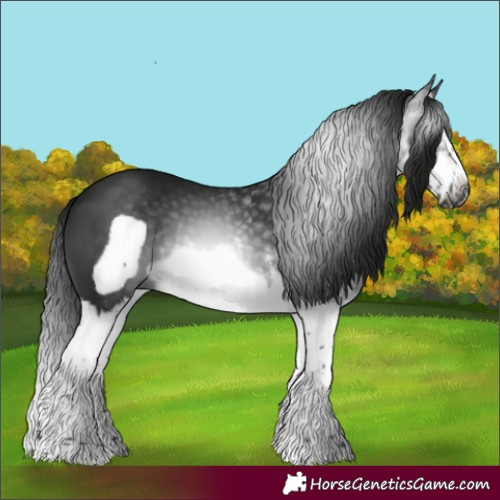Horse Color:Gray White Spotted Smoky Black Splash Frame 