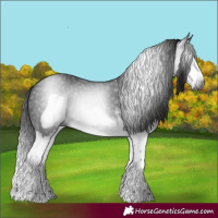 Horse Color:Gray White Spotted Smoky Black Splash Frame