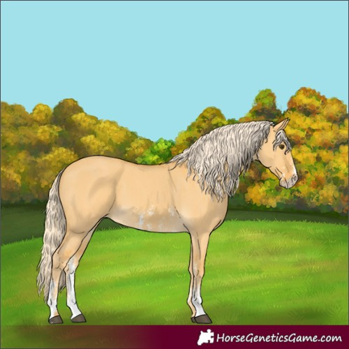 Horse Color:Unknown 