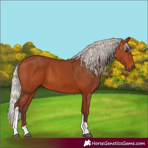 Horse Color:Silver Bay Tobiano