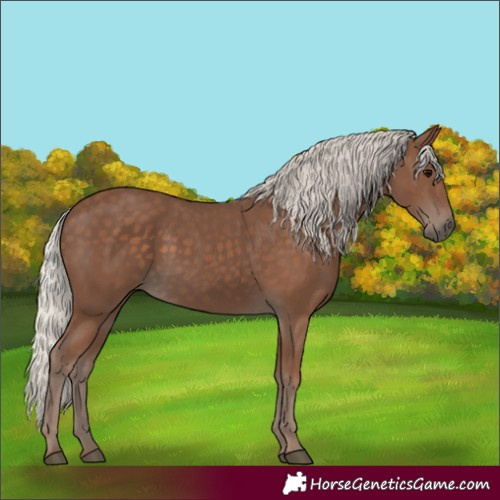 Horse Color:Silver Black