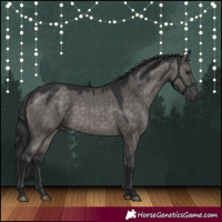 Horse Color:Platinum Brown Dun