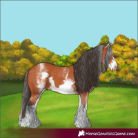 Horse Color:White Spotted Bay Frame