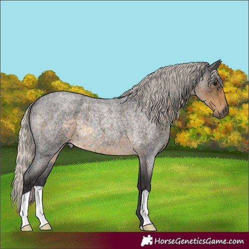 Horse Color:Silver Smoky Blue Roan 