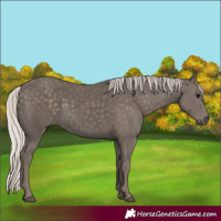 Horse Color:Silver Black