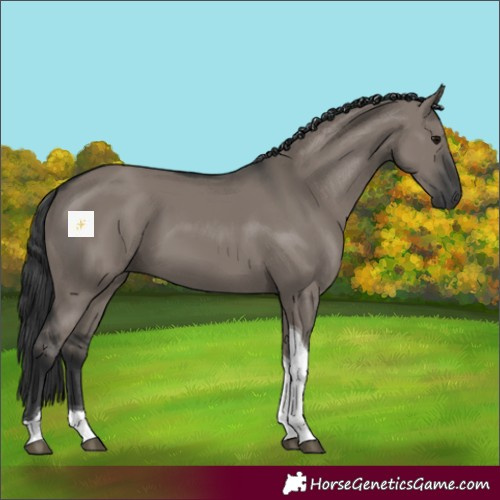 Horse Color:Grullo Tobiano 