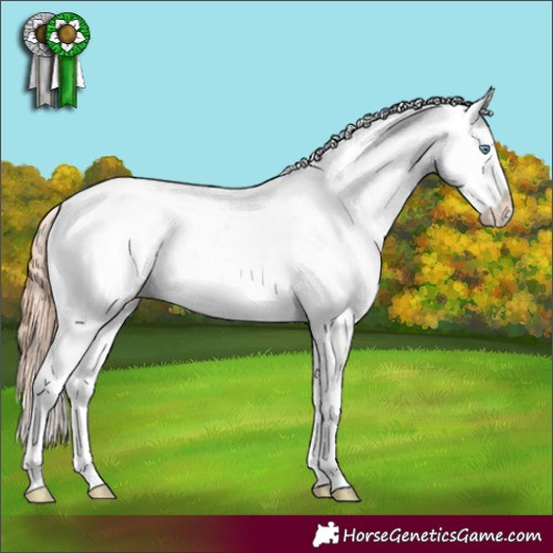 Horse Color:Amber Champagne Pearl Sabino 
