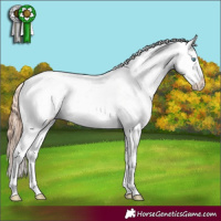 Horse Color:Amber Champagne Pearl Sabino 