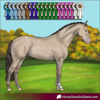 Horse Color:Classic Champagne Dun Rabicano