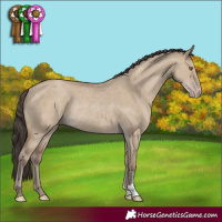 Horse Color:Classic Champagne Dun Rabicano 