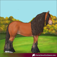 Horse Color:Unknown 