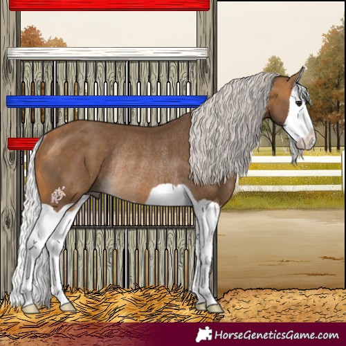 Horse Color:Silver Buckskin Splash Rabicano 