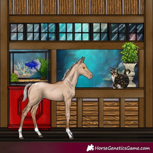 Horse Color:Silver Grullo Pearl Tobiano 