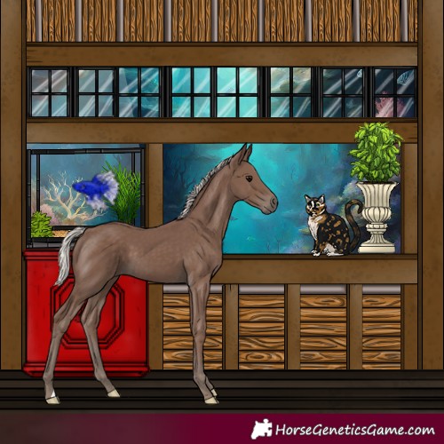 Horse Color:Silver Black 