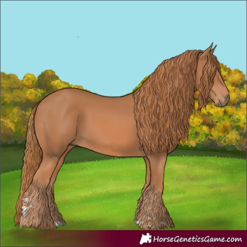 Horse Color:Chestnut Rabicano
