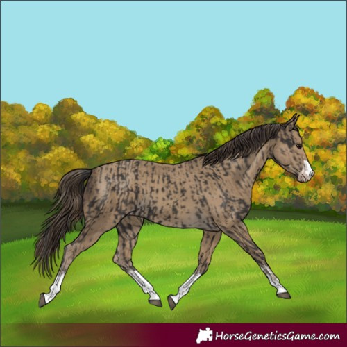 Horse Color:Smoky Black and Classic Cream Champagne