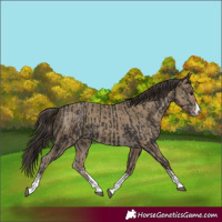 Horse Color:Smoky Black and Classic Cream Champagne