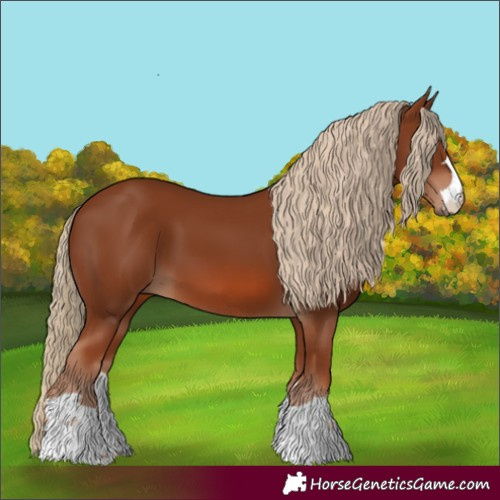 Horse Color:Chestnut 