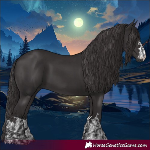 Horse Color:Smoky Black and Smoky Black