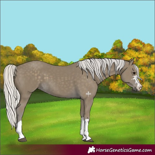 Horse Color:Silver Smoky Black 