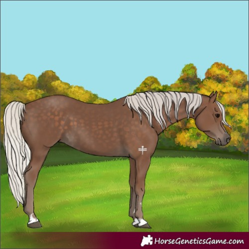 Horse Color:Silver Black 