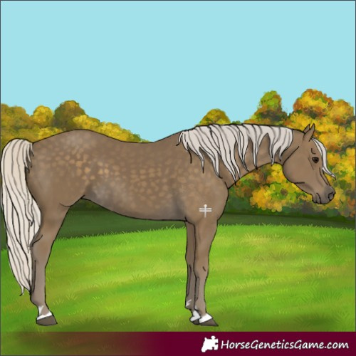 Horse Color:Silver Smoky Black 