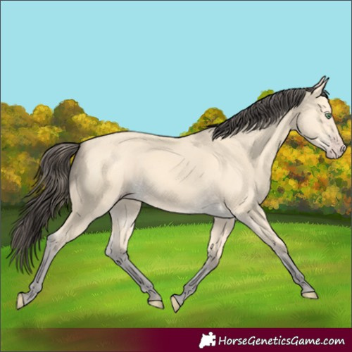 Horse Color:Amber Cream Champagne 