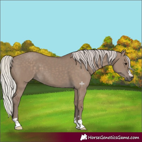 Horse Color:Silver Grullo 