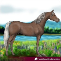 Horse Color:Silver Black 