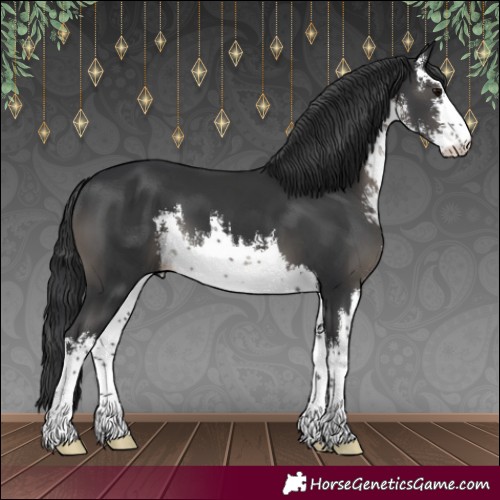 Horse Color:White Spotted Black