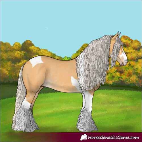 Horse Color:Silver Buckskin Dun Tobiano Rabicano 