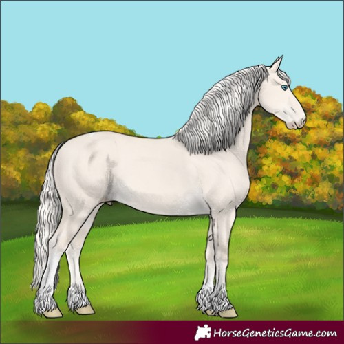 Horse Color:Cremello Dun Tobiano 
