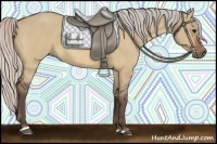 Horse Color:Silver Bay Roan Dun Sabino