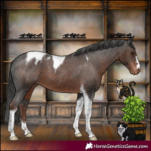 Horse Color:Liver Chestnut Tobiano Varnish