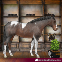 Horse Color:Liver Chestnut Tobiano Varnish 