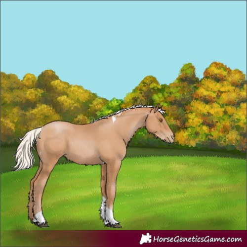 Horse Color:Silver Black Pearl Tobiano 