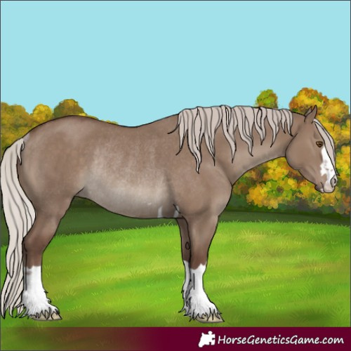 Horse Color:Silver Grullo Rabicano 