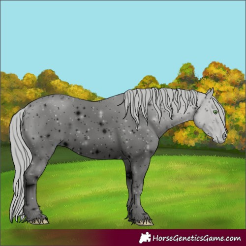 Horse Color:ERROR: UNKNOWN ANOMALY