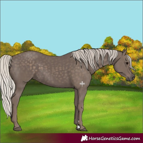 Horse Color:Silver Black 