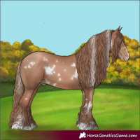 Horse Color:White Spotted Black Pearl